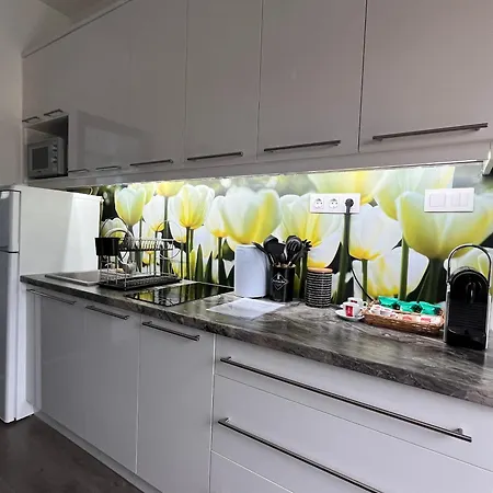 Smeraldo Penthouse Apartmán Zamárdi